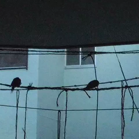 出勤します　つばめの画像
