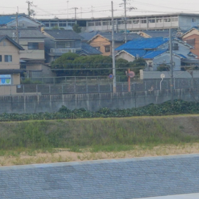 久しぶりの奈良の画像