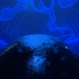 新江ノ島水族館・オマケ。の画像