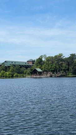 WDW１１日目・WDW最終日！の記事動画