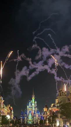 WDW10日目、MKビッグサンダーマウンテンに乗ろうとしたら（涙）の記事動画