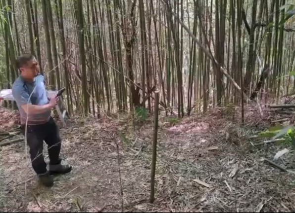 剣術の三つの法の記事動画
