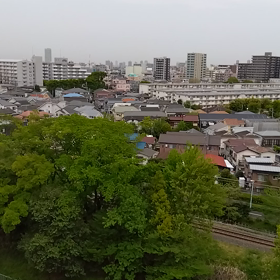 鶯のBGMの画像