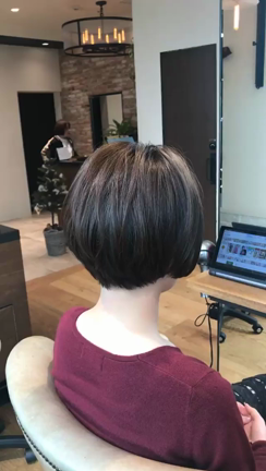 気分転換に☆ オシャレな【マッシュボブ】の記事動画