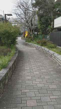 ・・・の記事動画