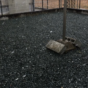 初めての雪(*ﾟ∀ﾟ*)の画像
