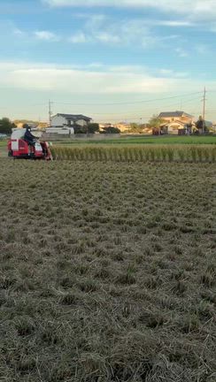 稲刈り完了しましたの記事動画