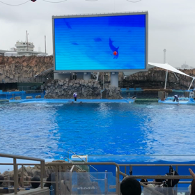 2y7m21d   名古屋港水族館の画像