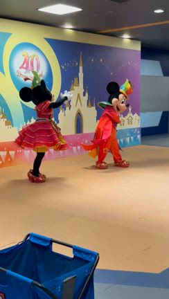 40周年のミキミニグリーティング(*´∇｀*) くるくるぴょんぴょんしてくれた(๑･̑◡･̑๑)の記事動画