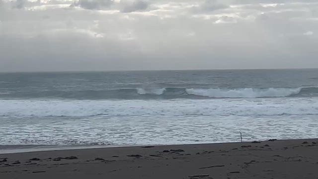 台風4号の影響で…の記事動画
