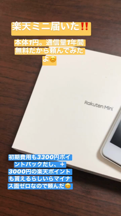 のんびり日曜日と楽天ミニの記事動画