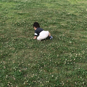 てくてくの画像