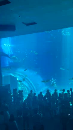 青い海と笑顔あふれる沖縄旅の中で、戦後80年に思いを馳せるの記事動画