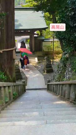 高尾山への記事動画