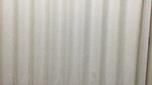 おもちゃの域を超えた！デリンジャー 発火動画付き！の記事動画
