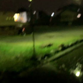 驚きの画像