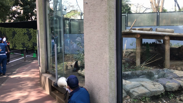 シャンシャンの巻の記事動画