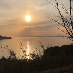 おはようございます☀️の画像