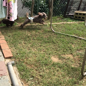 同窓会やりますよ。の画像
