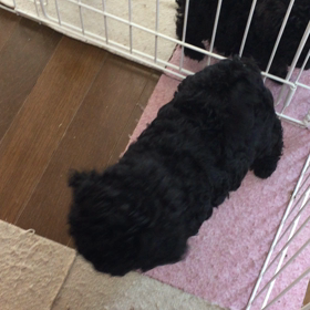 耳栓用意してねの画像