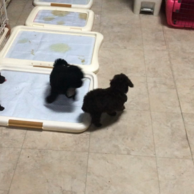 フリータイムの画像