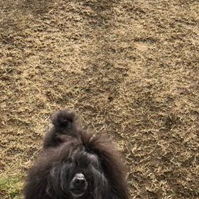 お庭での画像