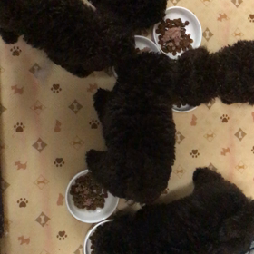 朝ごはんライブ(^^)の画像