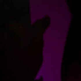 2025/09/28の画像