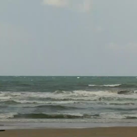 ホーム波の画像