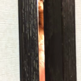 隙間から．．．(ㅇㅁㅇ;;)の画像