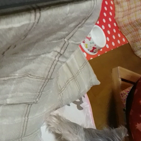 キャッチボール・・・？（笑）の画像