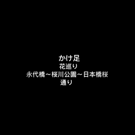 ご近所 隣町  かけ足花巡り ③の画像