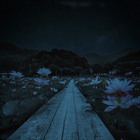 imagination花火の画像