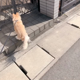 男同士の画像