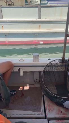 ７日の記事動画