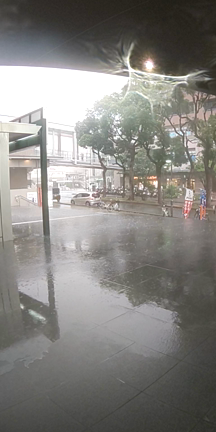 ゲリラ豪雨の記事動画