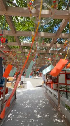 野いちごや桑の実を楽しみつつ金桜神社への記事動画