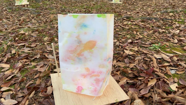 11/19 堺市、仁徳天皇陵前大仙公園にて万灯絵。の記事動画