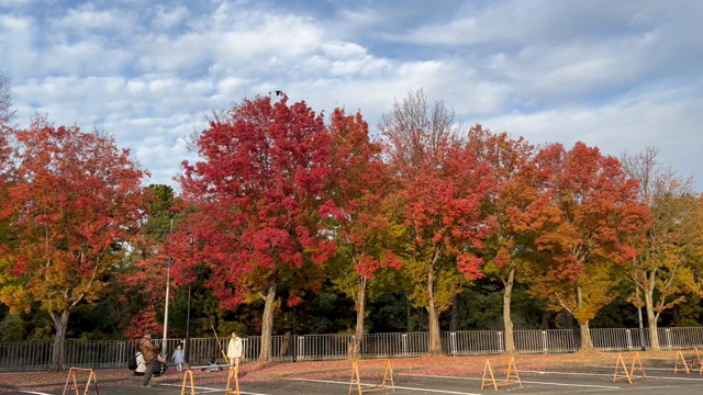 11/19 堺市、仁徳天皇陵前大仙公園にて万灯絵。の記事動画