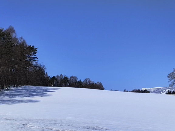 昨日の絶景の記事動画