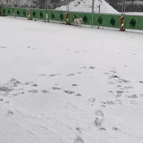 ひなたの初雪体験⛄️の画像