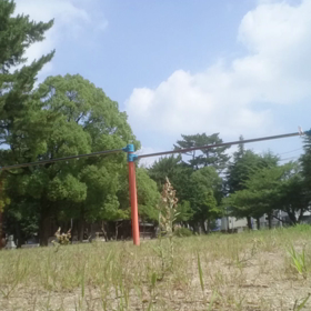 鉄棒です！の画像