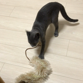 おさがりの画像