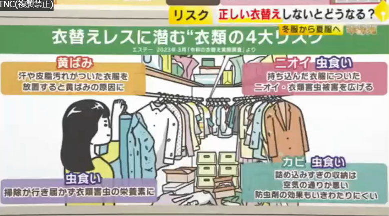 【衣替えシーズンに合わせて収納を見直そう！】テレビにて取り上げていただきました！の記事動画