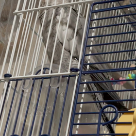 ミッキーマウスマーチ途中経過の画像