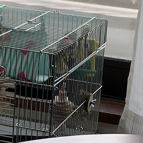 名前が言えたの画像