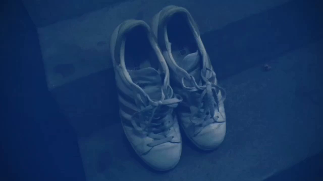 ほーらよっと！！の記事動画