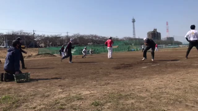 ２月２１日 ジュニアの弟君の記事動画