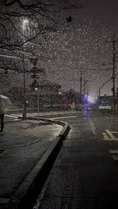 雪と、ついにホワイトペーパーに出会うの記事動画