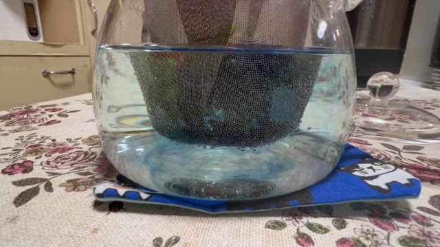 待機苗の植え付け、ほっこりハーブティーの記事動画